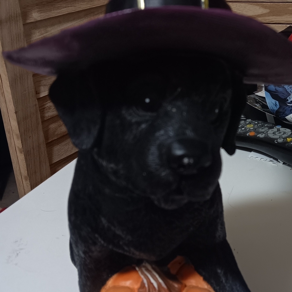 Dog figurine Halloween hat decor black and purple - Picture 3 of 5